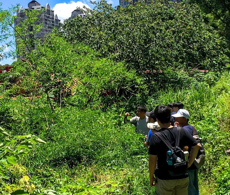 尖山目前為公墓區也有些民眾作為通行捷徑