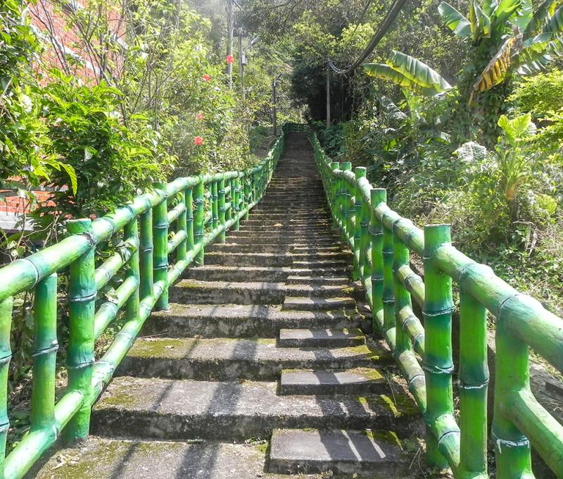 古道路面皆為已整修過的階梯。照片拍攝者：方文樹 / 拍攝日期：2022/3/16