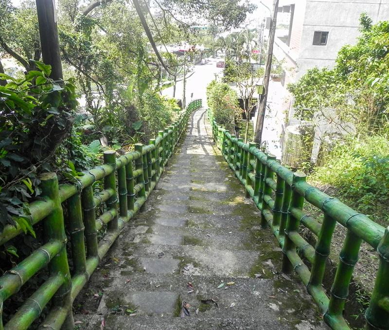 古道上植物生態豐富。照片拍攝者：方文樹／拍攝日期：2022/3/16