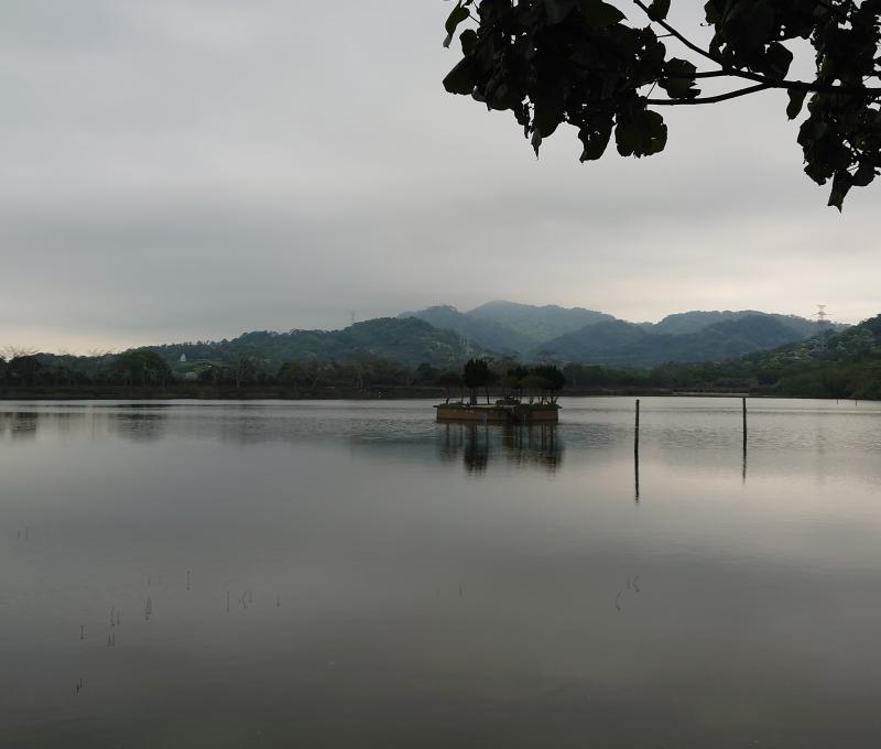 詩意般的頭竂大池。照片拍攝者：洪光君 / 拍攝日期：2021/4/15