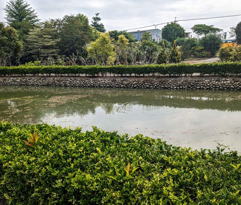 餘三館前半月池 照片提供者：李華彥 / 拍攝日期：2023/04/15