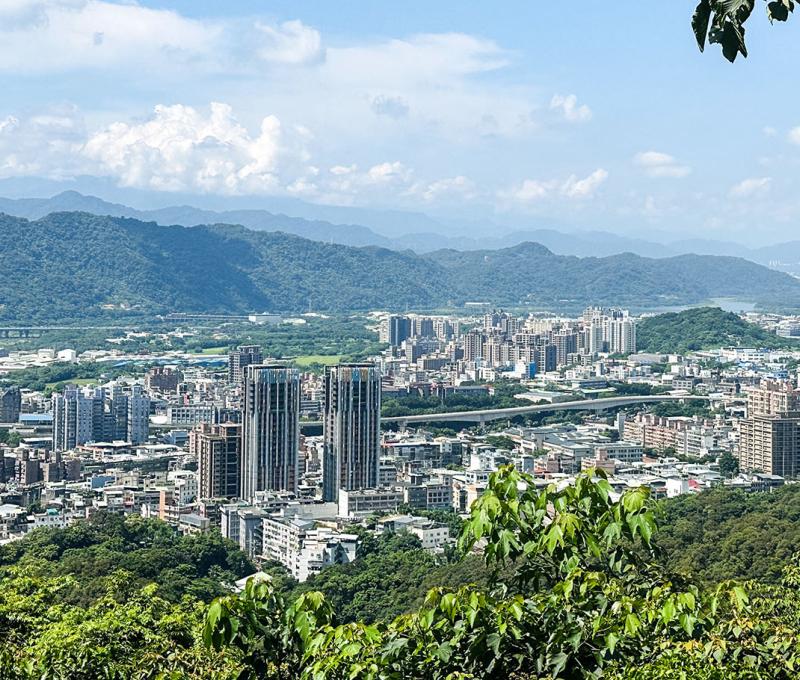 百年大榕樹山頂鳥瞰三鶯地區。照片提供者：林美惠 / 拍攝日期：2023/06/24