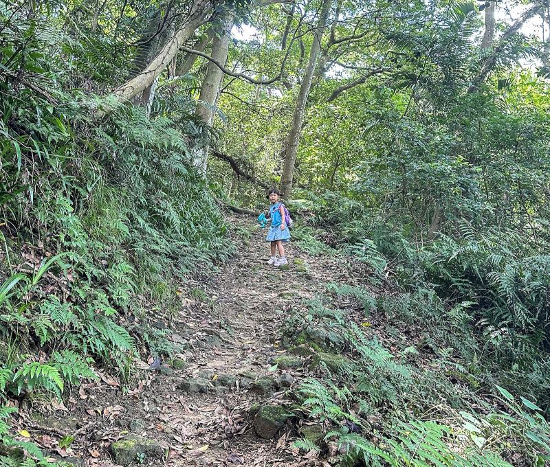 石雲步道是原始泥土路步道。照片提供者：林美惠 / 拍攝日期：2023/08/27