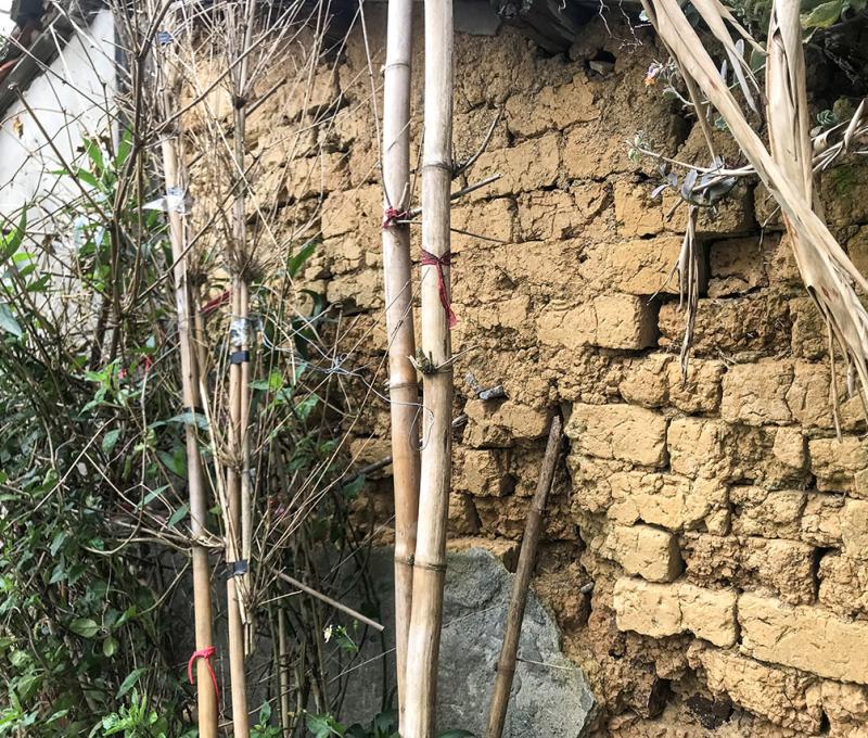 牆面剝落，露出土角。照片拍攝者：方文樹 / 拍攝日期：2022/3/16