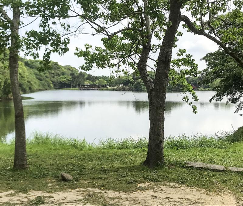 生態公園一隅。照片拍攝者：方文樹／拍攝日期：2022/04/13