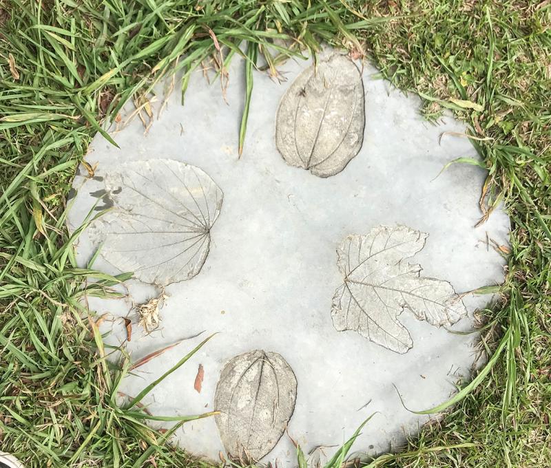 生態公園內的葉拓。照片拍攝者：方文樹／拍攝日期：2022/04/13