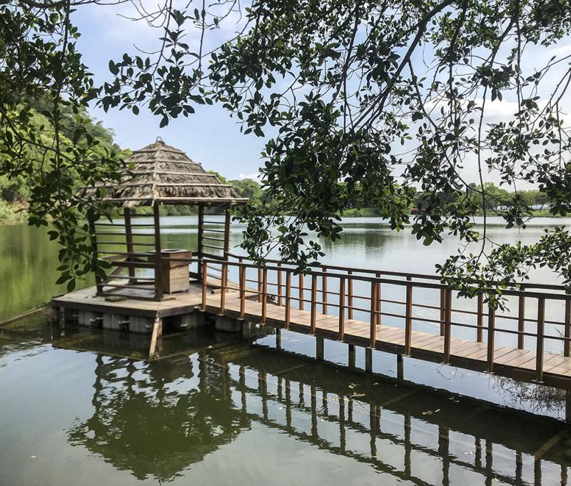 生態公園內水中涼亭。照片拍攝者：方文樹／拍攝日期：2022/04/13