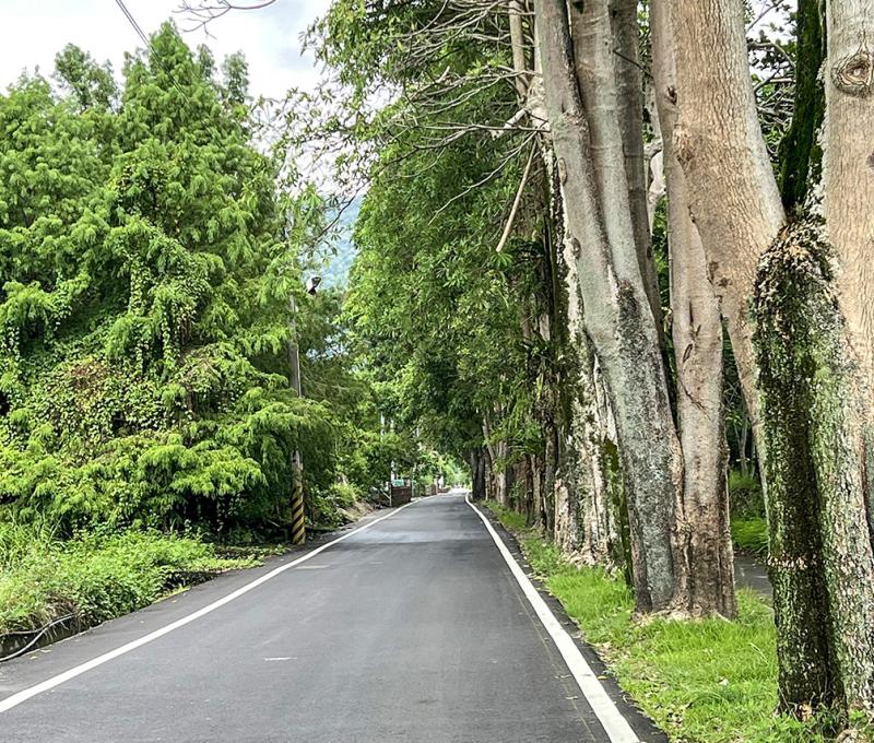 社區的綠色廊道 照片提供者：郭俊麟 / 拍攝日期：2024/09/23