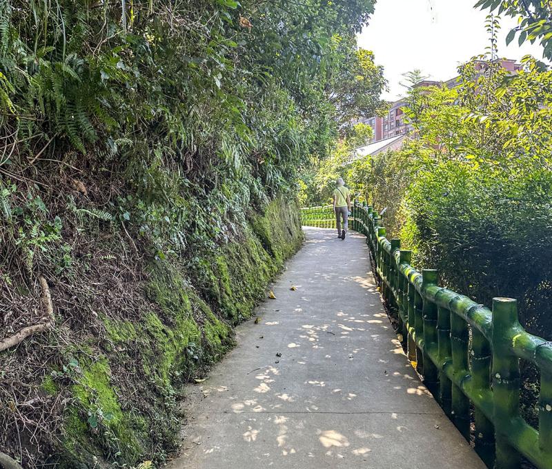 步道沿路平坦好走。照片提供者：林美惠 / 拍攝日期：2023/08/14