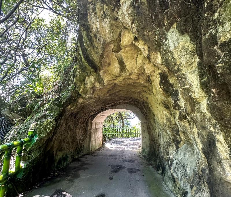 隧道另一方向。照片提供者：林美惠 / 拍攝日期：2023/08/14