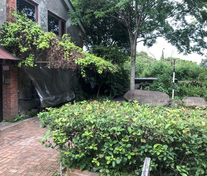 二坪秘境─茶屋旁植物。照片拍攝者：方文樹 / 拍攝日期：2022/04/13