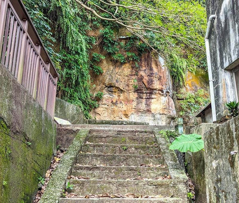 小路往上可以看到光武坑道平台。照片拍攝者：林韋伶 / 拍攝日期：2024/1/2