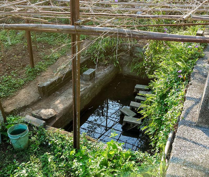 自然湧泉。照片拍攝者：洪光君 / 拍攝日期：2021/4/6