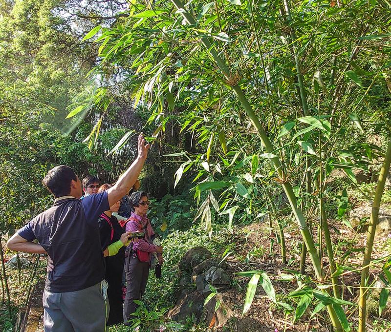 綠竹筍的季節。照片拍攝者：洪光君 / 拍攝日期：2021/4/6