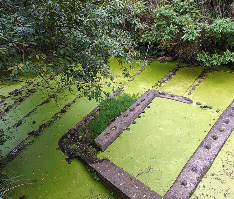 缺水的頭竂溪。照片拍攝者：洪光君 / 拍攝日期：2021/4/15