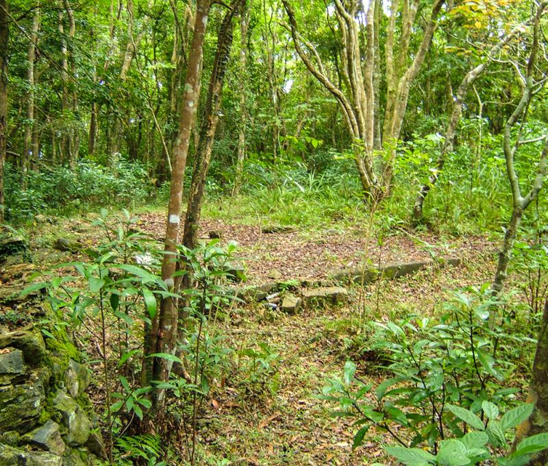 出水坡駐在所的水泥地基平臺 照片提供者：原住民族委員會原住民族文化發展中心／拍攝日期：109.11.27