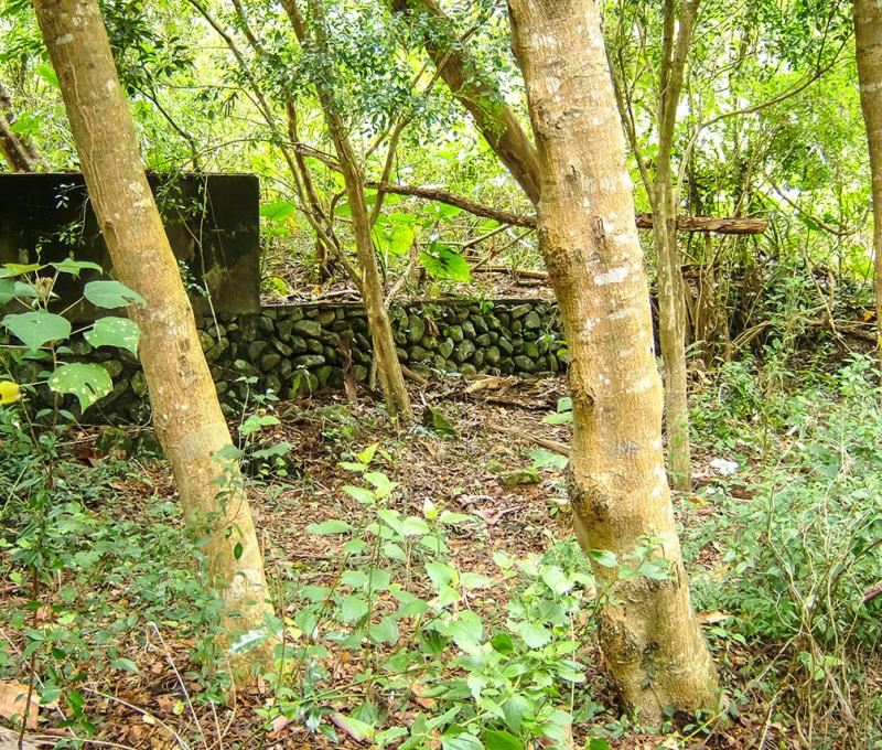 溪底營盤遺址的石砌牆面  照片提供者：原住民族委員會原住民族文化發展中心／拍攝日期：109.11.27