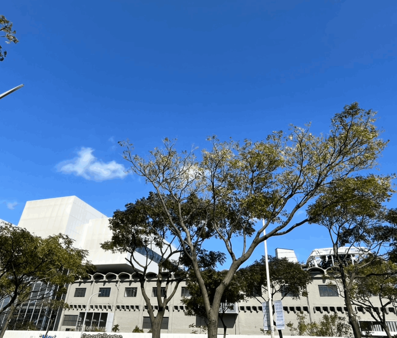 24台肥新竹廠改建現址/提供者：楊子樵