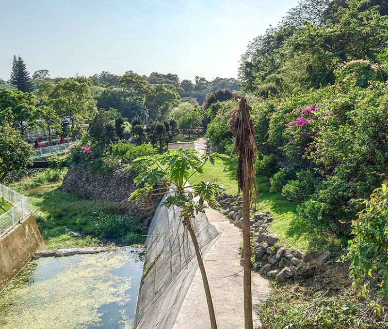 步道延著草嶺溪延伸。照片拍攝者：洪光君 / 拍攝日期：2021/4/6