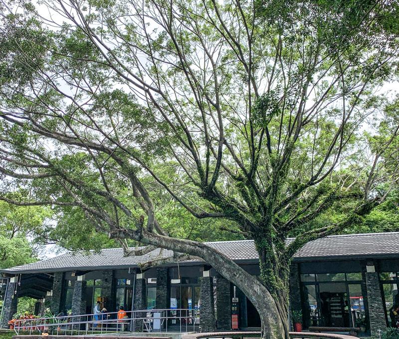 八角樓&工藝街 Octagonal Exhibition Hall 照片拍攝者：原住民族委員會原住民族文化發展中心 / 拍攝日期：2022