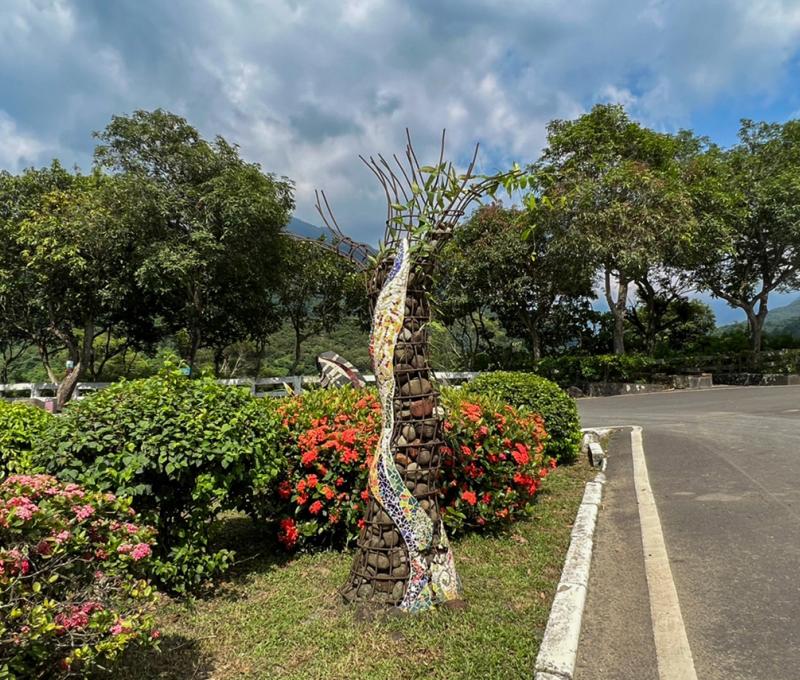 《安》樹 Peace Tree 照片拍攝者：原住民族委員會原住民族文化發展中心 / 拍攝日期：2022