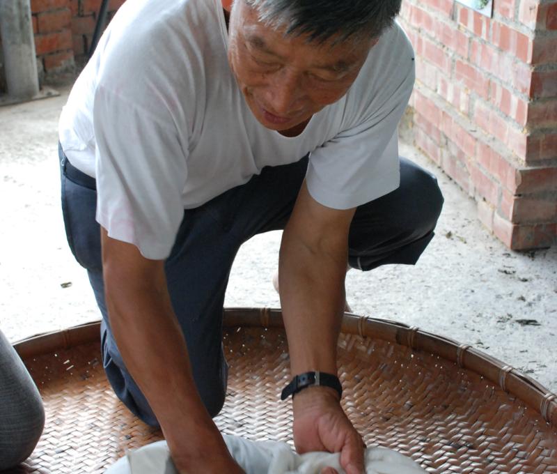 蘇文昭示範手揉茶（照片提供者：余舜德 / 拍攝日期：2006）