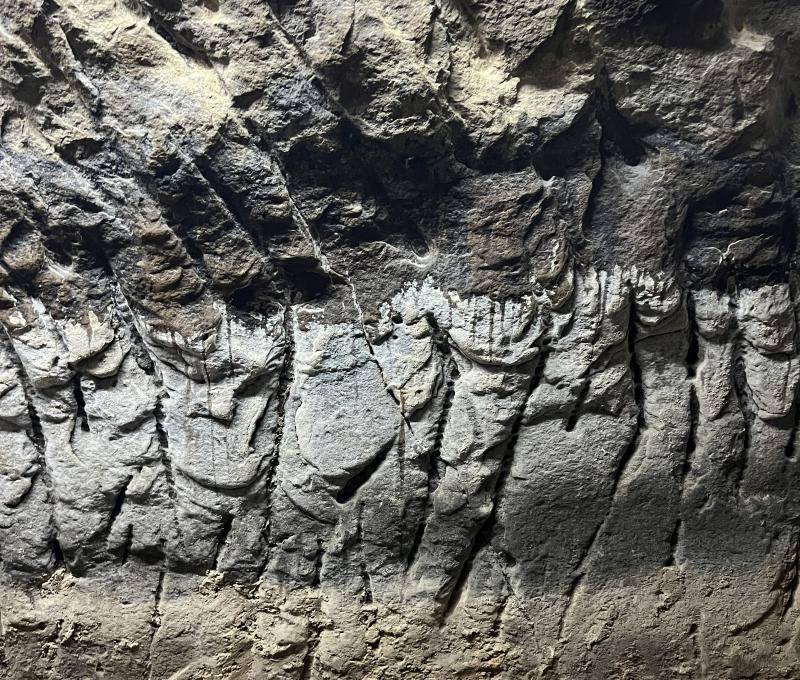 石腔內壁可清楚看見引水流過的水痕／照片提供者：毛毓翔 / 拍攝日期：2025/05/27