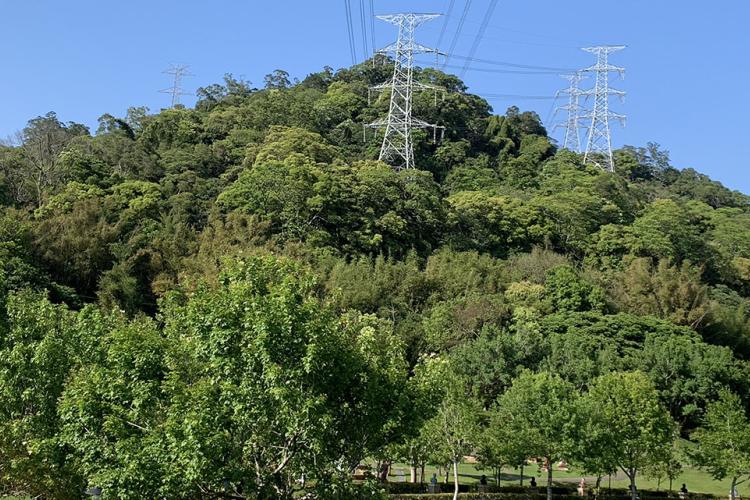 23草嶺山/盾狀火山