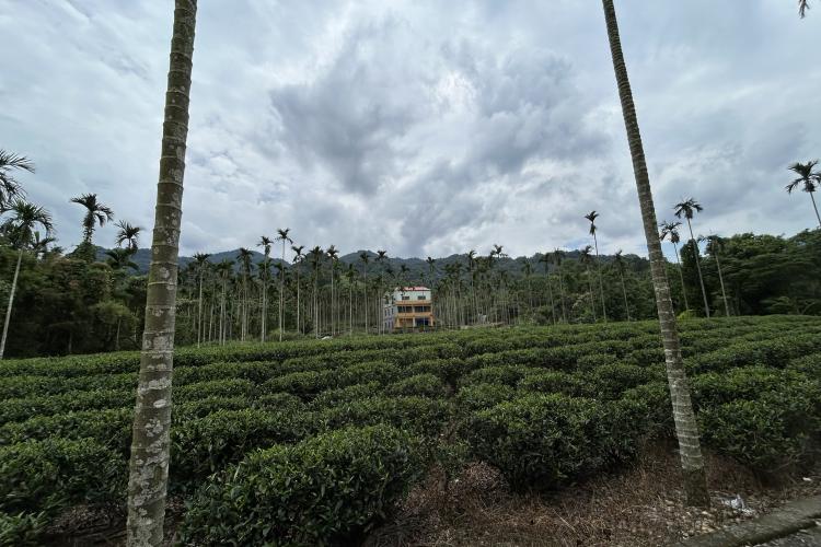 09火燒翁家大厝坑