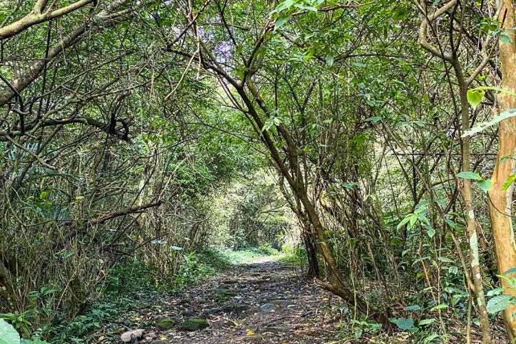 13牧童古道與摸乳巷