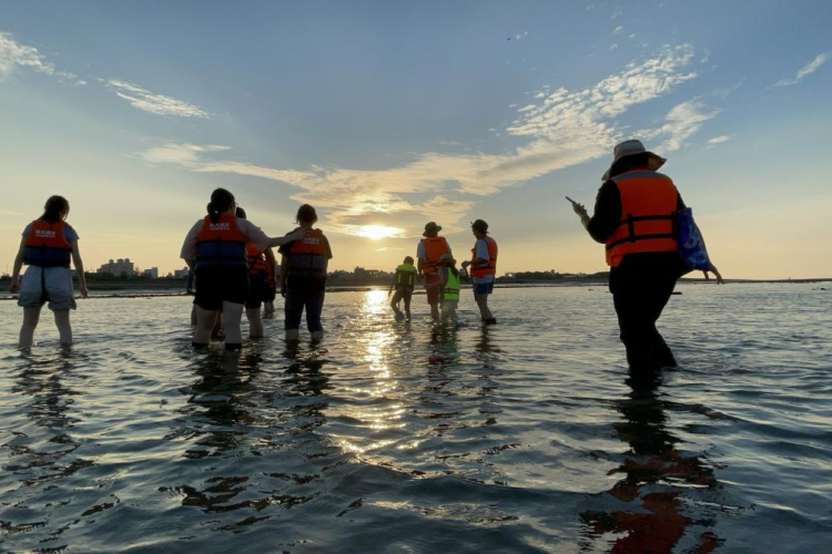 07 你是河流的一部分/提供者：島港豐巢
 07 You are part of the river/Provided by Dao Gang Feng Chao