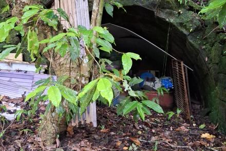 21阿屘坑和金瓜坑