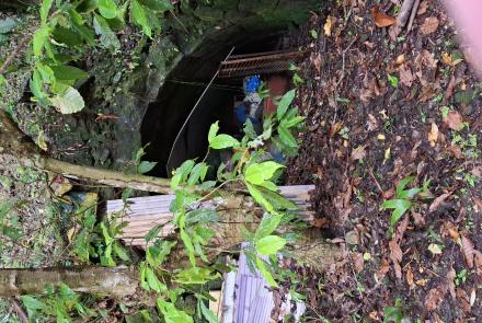 21阿屘坑和金瓜坑