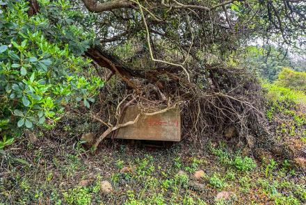 05原日軍臺中飛行場機槍堡