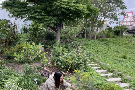 09 土與水無法分割/提供者：島港豐巢
 09 Soil and water are inseparable/Provided by Dao Gang Feng Chao